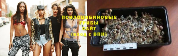 каннабис Карпинск