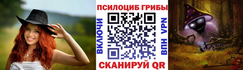 Купить Биробиджан Псилоцибиновые грибы Magic Shrooms